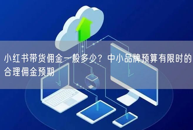 小红书带货佣金一般多少？中小品牌预算有限