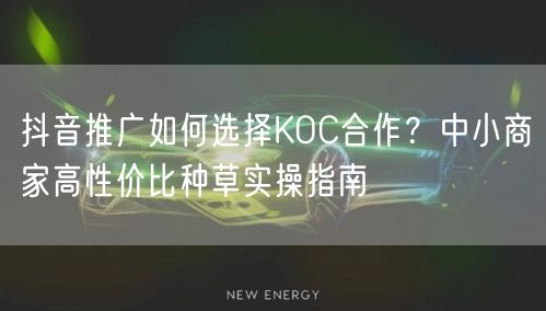 抖音推广如何选择KOC合作？中小商家高性