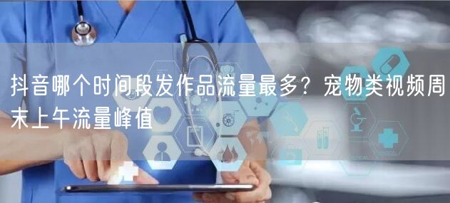 抖音哪个时间段发作品流量最多？宠物类视频